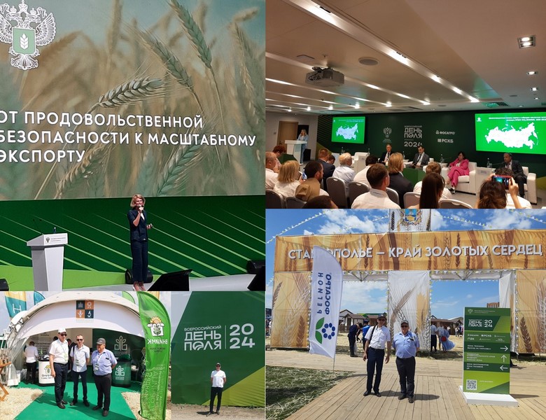 Рисунок
